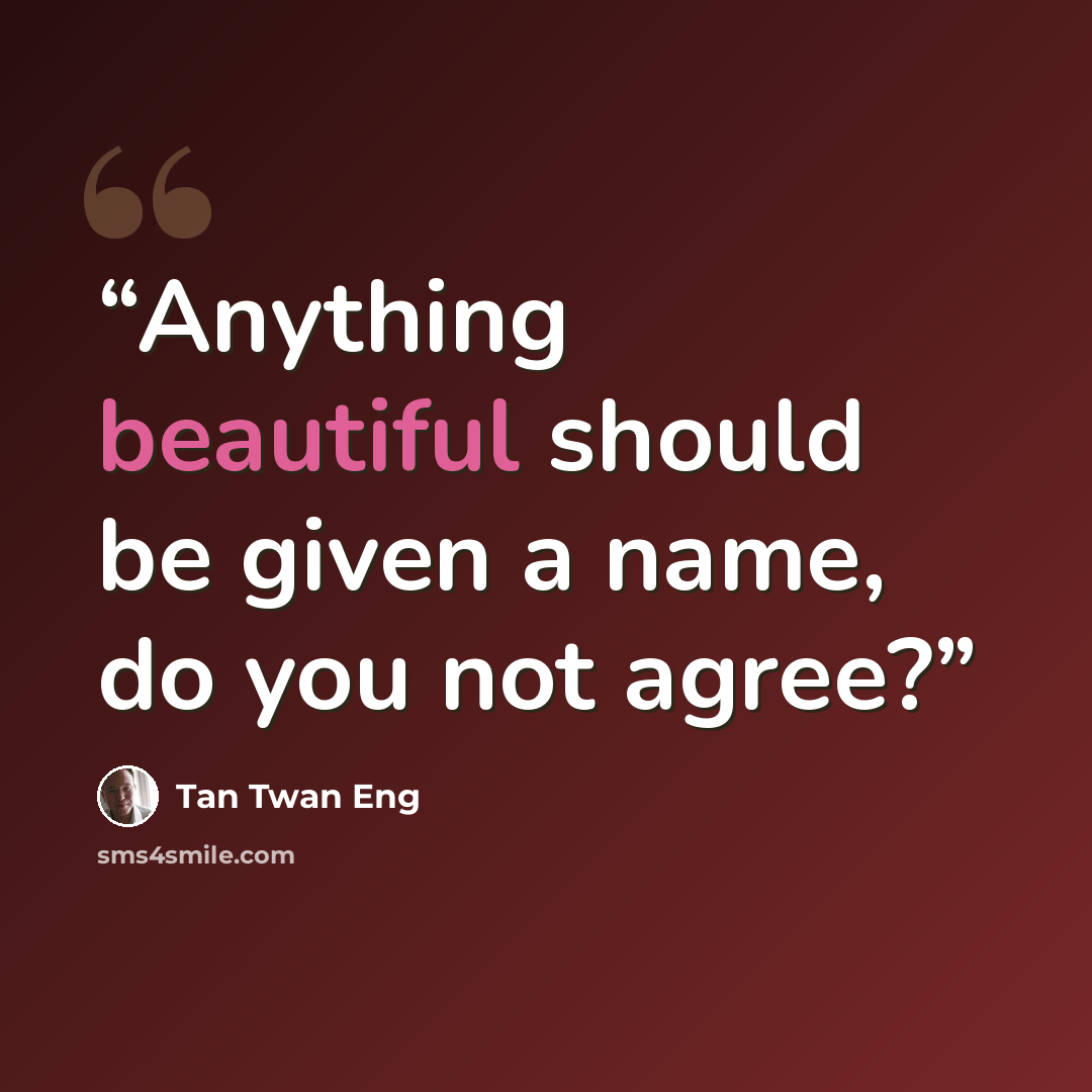 “Anything beautiful should be given a name, do you not agree?” quote by Tan Twan Eng