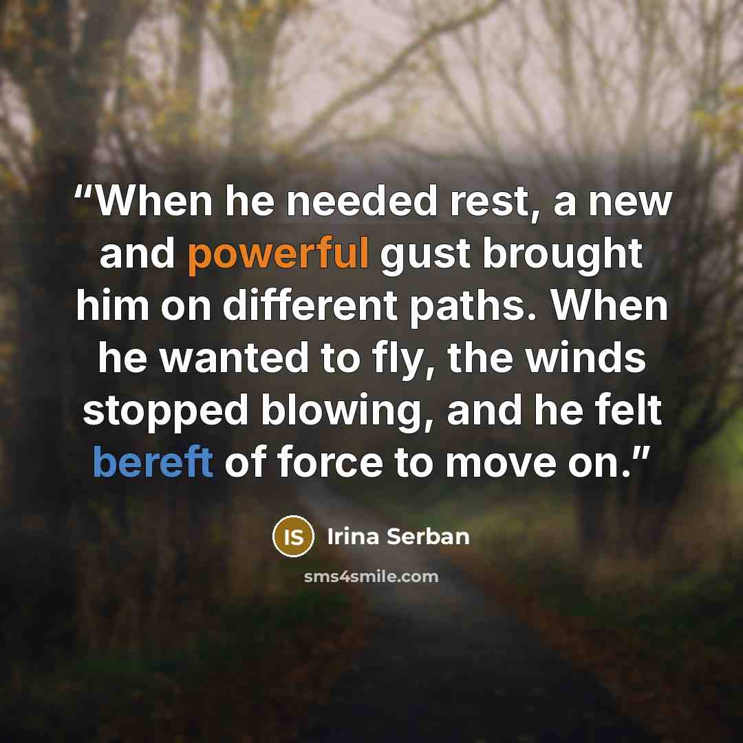 “When he needed rest, a new and powerful gust brought him on different paths. When he wanted to fly, the winds stopped blowing, and he felt bereft of force to move on.” quote by Irina Serban