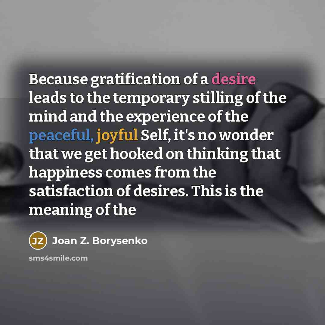 “Because gratification of a desire leads to the temporary stilling of the mind and the experience of the peaceful, joyful Self, it's no wonder that we get hooked on thinking that happiness comes from the satisfaction of desires. This is the meaning of the” quote by Joan Z. Borysenko