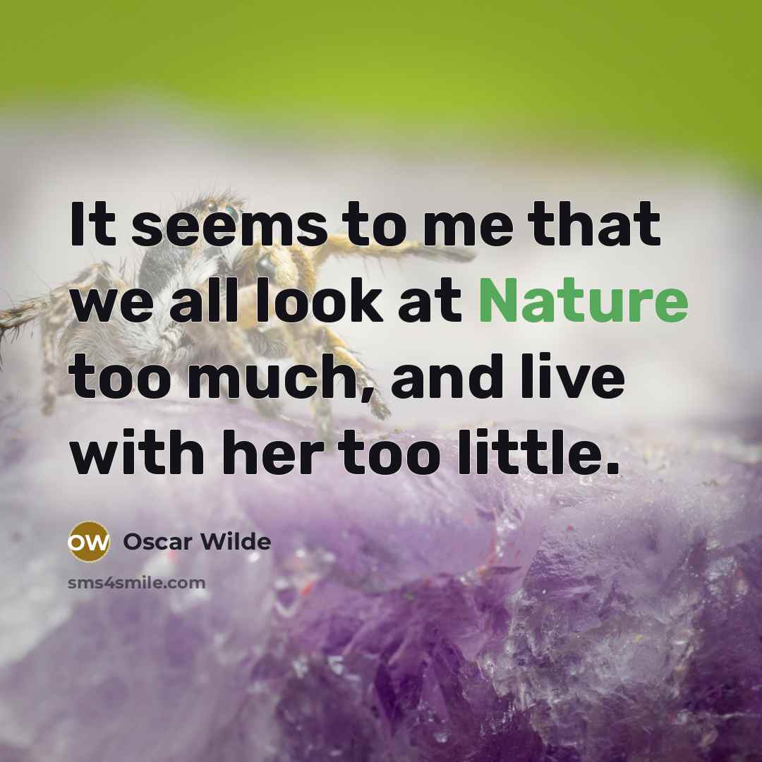 “It seems to me that we all look at Nature too much, and live with her too little.” quote by Oscar Wilde