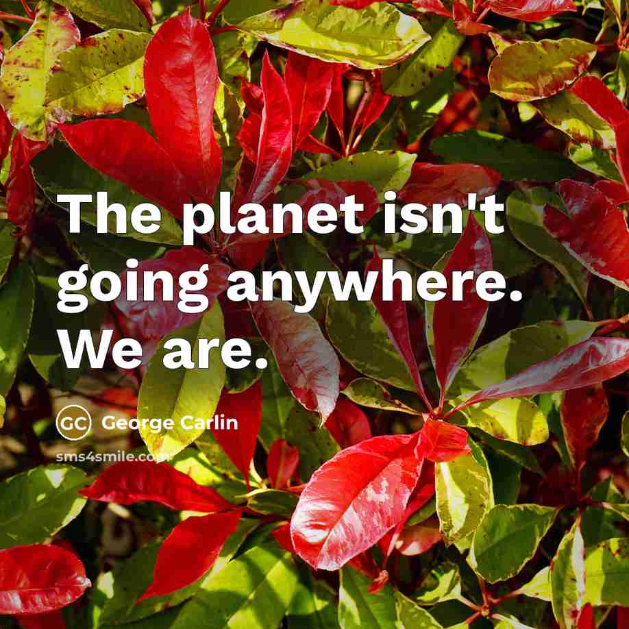 “The planet isn't going anywhere. We are.” quote by George Carlin