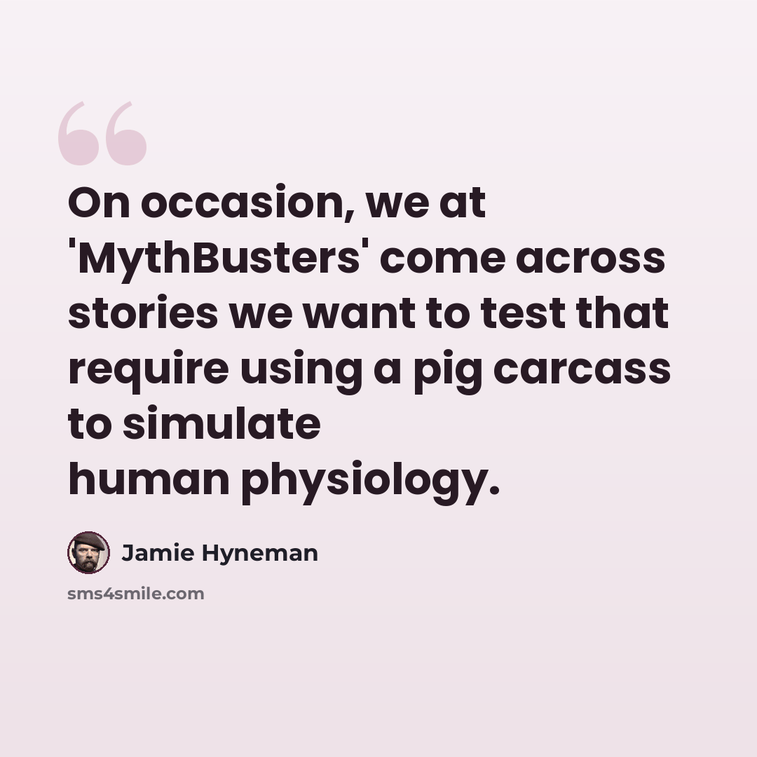 “On occasion, we at 'MythBusters' come across stories we want to test that require using a pig carcass to simulate human physiology.” quote by Jamie Hyneman