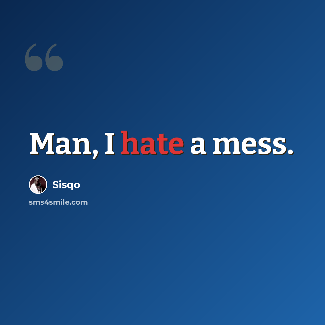 “Man, I hate a mess.” quote by Sisqo