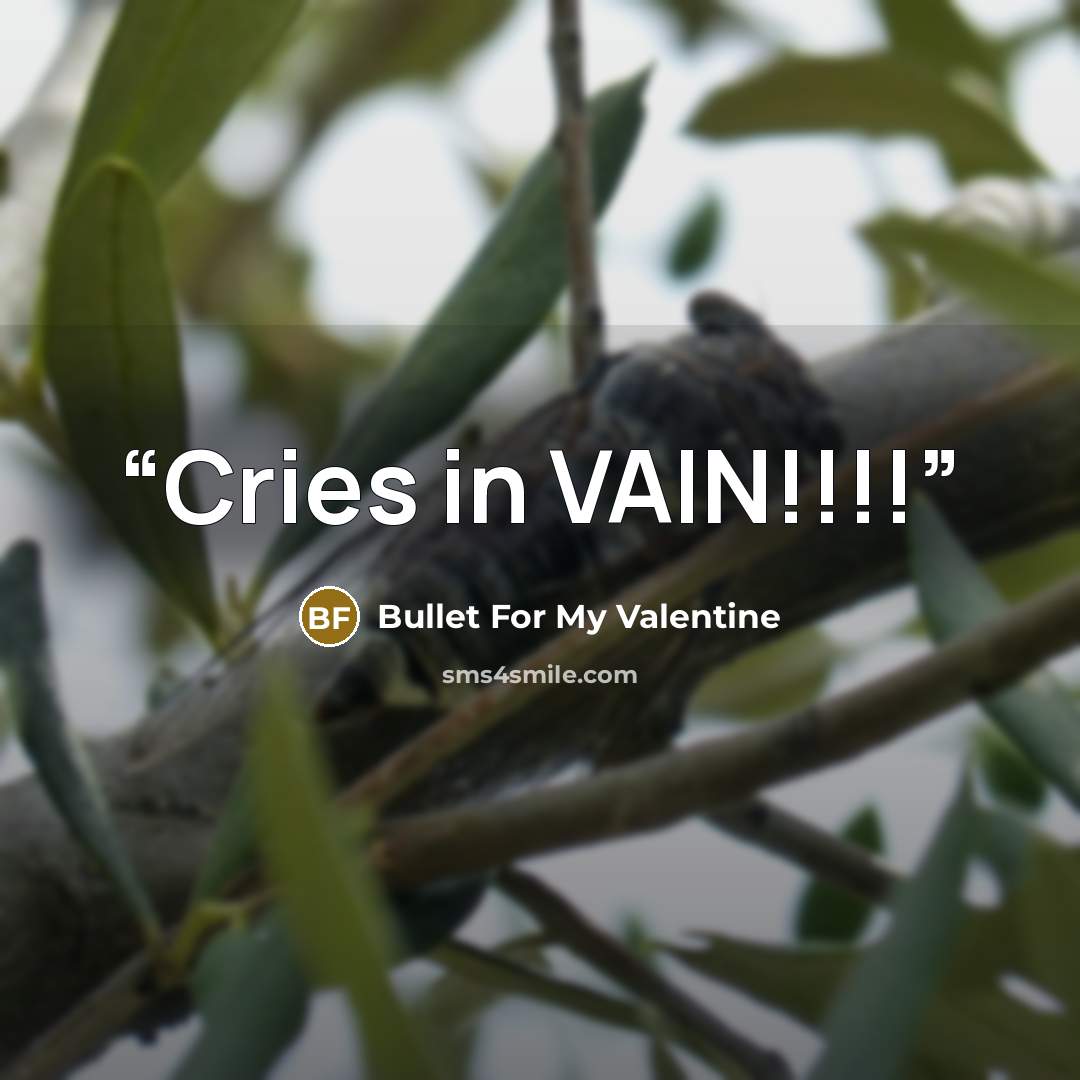 “Cries in VAIN!!!!” quote by Bullet for My Valentine