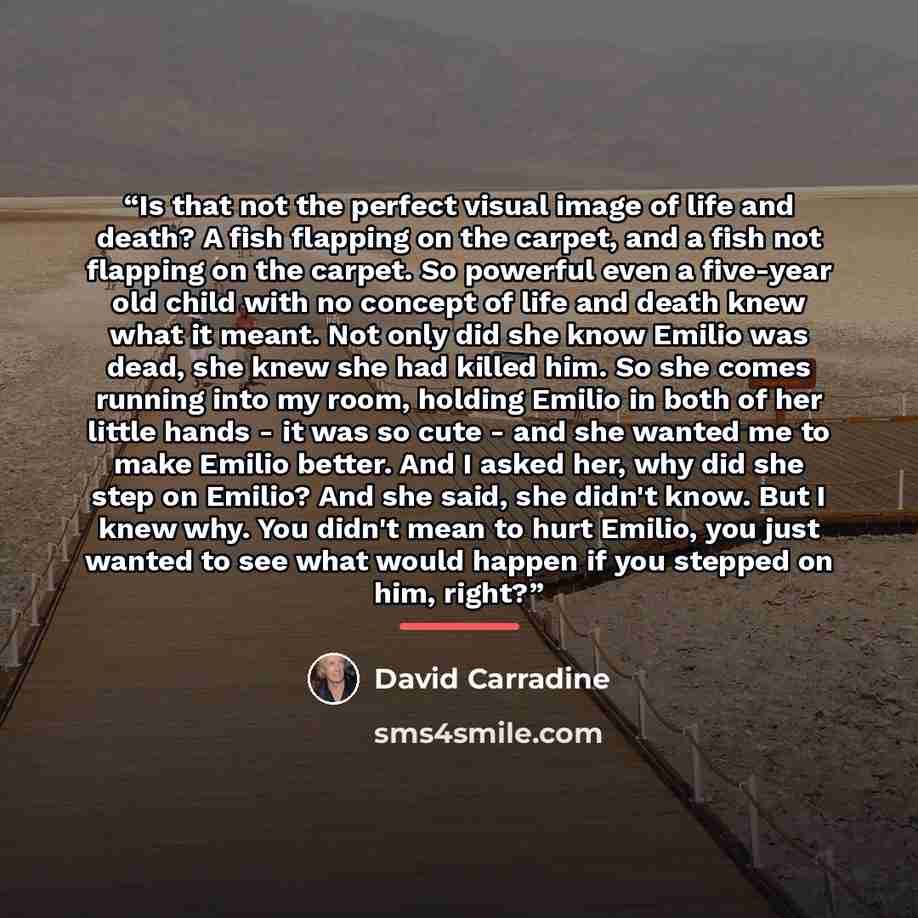 “Is that not the perfect visual image of life and death? A fish flapping on the carpet, and a fish not flapping on the carpet. So powerful even a five-year old child with no concept of life and death knew what it meant. Not only did she know Emilio was dead, she knew she had killed him. So she…” quote by David Carradine