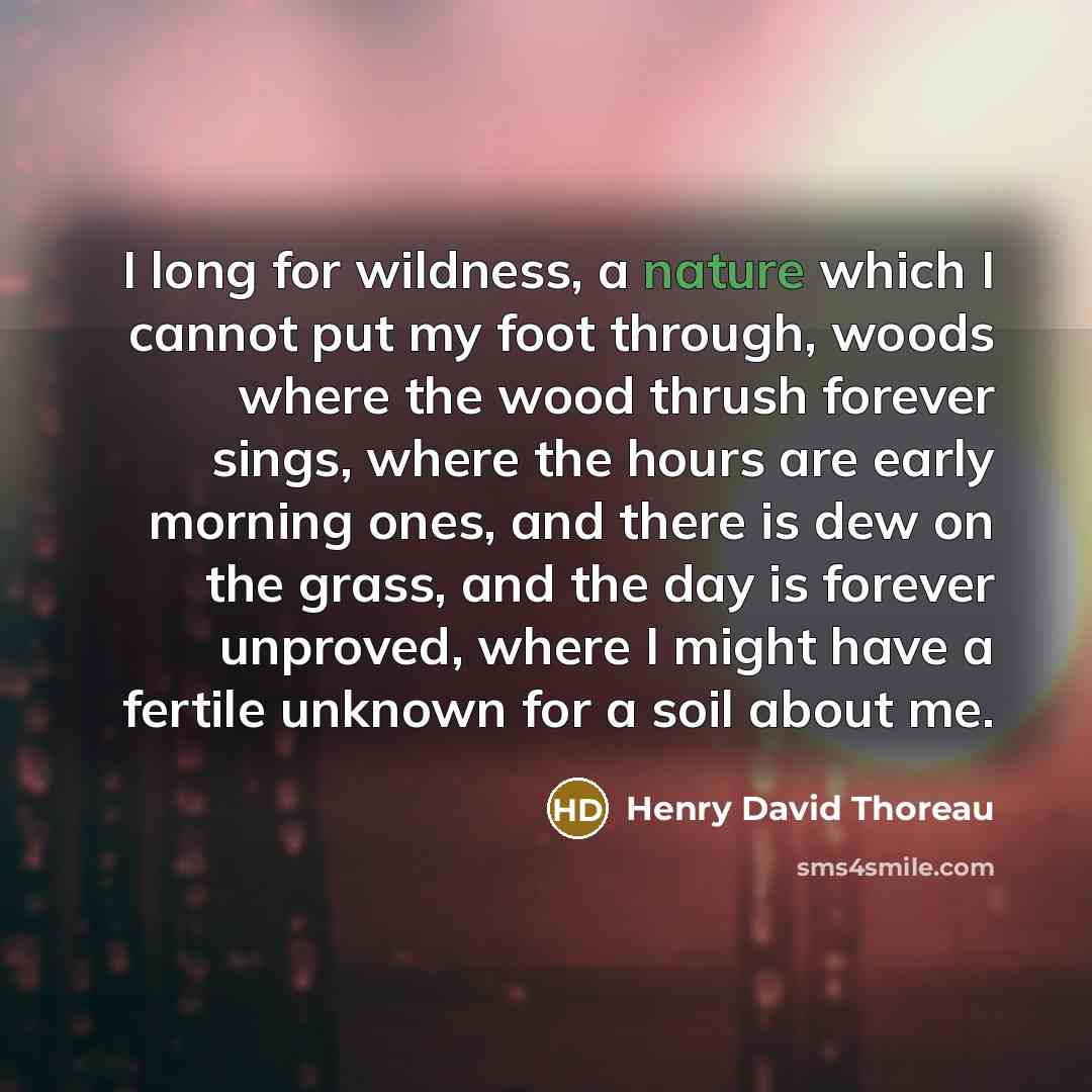 “I long for wildness, a nature which I cannot put my foot through, woods where the wood thrush forever sings, where the hours are early morning ones, and there is dew on the grass, and the day is forever unproved, where I might have a fertile unknown for a soil about me.” quote by Henry David Thoreau