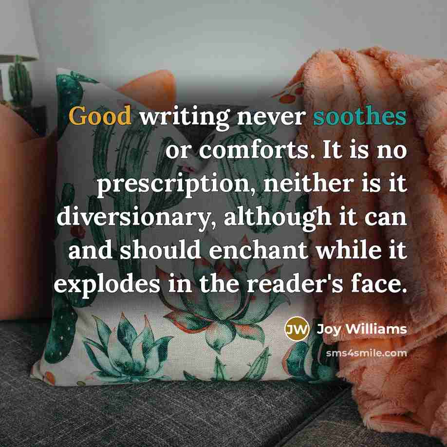 “Good writing never soothes or comforts. It is no prescription, neither is it diversionary, although it can and should enchant while it explodes in the reader's face.” quote by Joy Williams