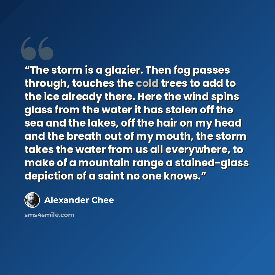 “The storm is a glazier. Then fog passes through, touches the cold trees to add to the ice already there. Here the wind spins glass from the water it has stolen off the sea and the lakes, off the hair on my head and the breath out of my mouth, the storm takes the water from us all everywhere, to…” quote by Alexander Chee