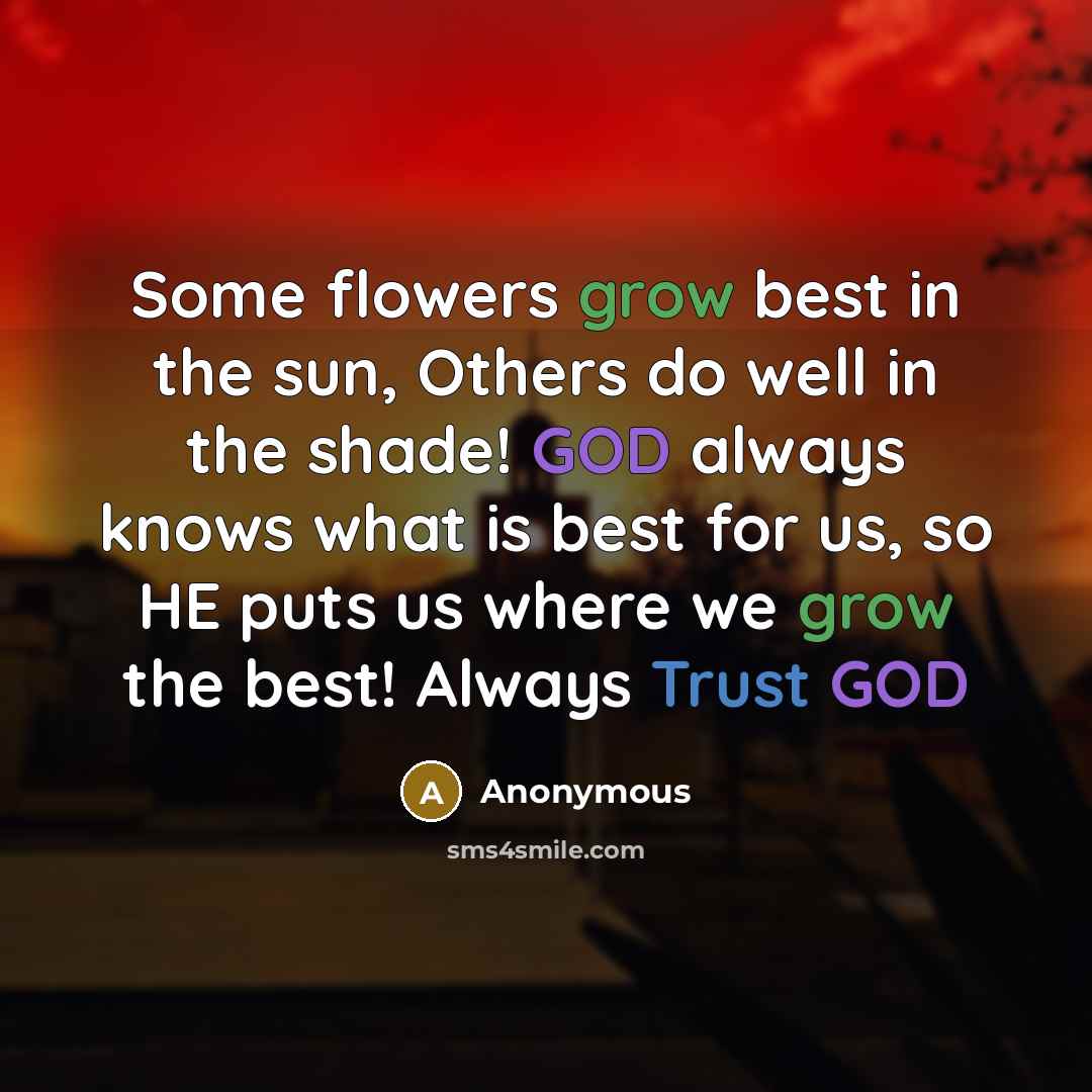“Some flowers grow best in the sun, Others do well in the shade! GOD always knows what is best for us, so HE puts us where we grow the best! Always Trust GOD” quote by Anonymous