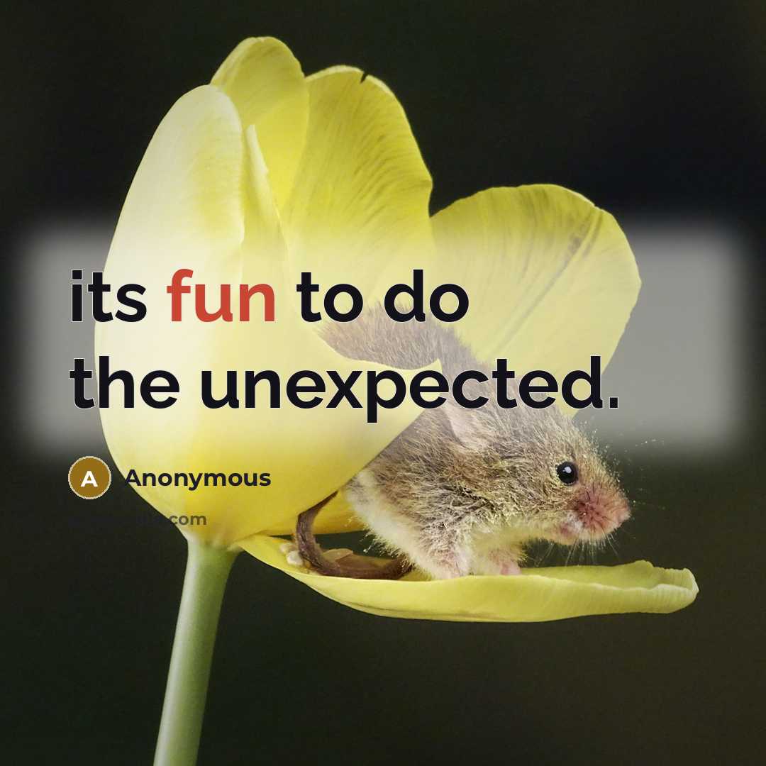 “its fun to do the unexpected.” quote by Anonymous
