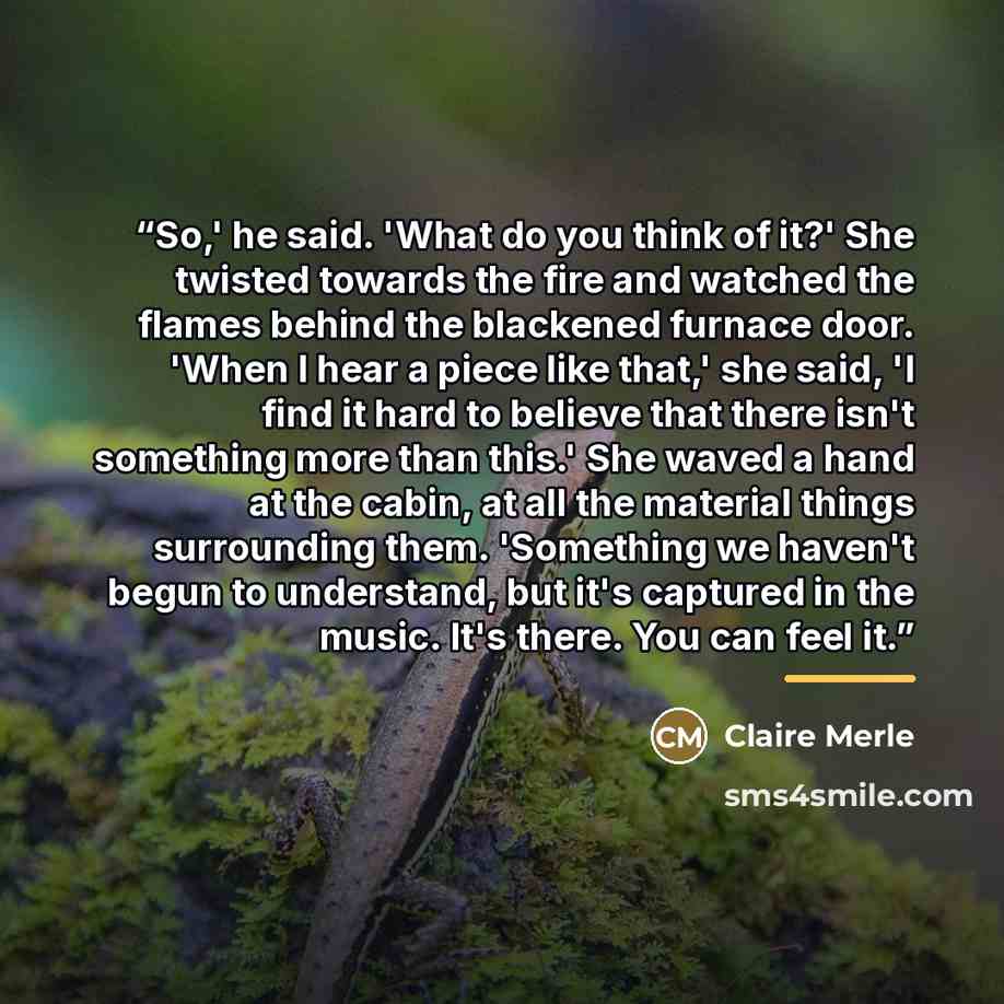 “So,' he said. 'What do you think of it?' She twisted towards the fire and watched the flames behind the blackened furnace door. 'When I hear a piece like that,' she said, 'I find it hard to believe that there isn't something more than this.' She waved a hand at the cabin, at all the material…” quote by Claire Merle