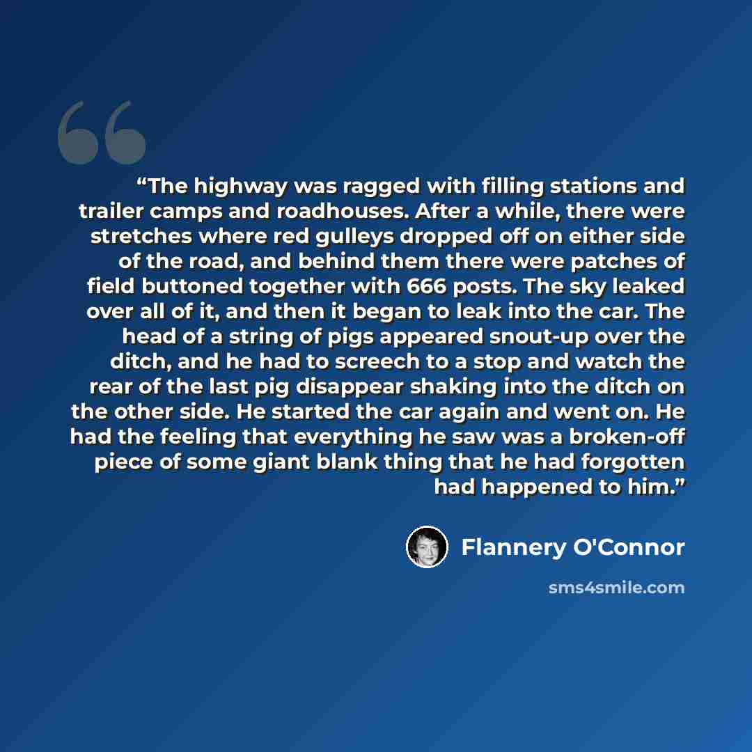 “The highway was ragged with filling stations and trailer camps and roadhouses. After a while, there were stretches where red gulleys dropped off on either side of the road, and behind them there were patches of field buttoned together with 666 posts. The sky leaked over all of it, and then it…” quote by Flannery O'Connor