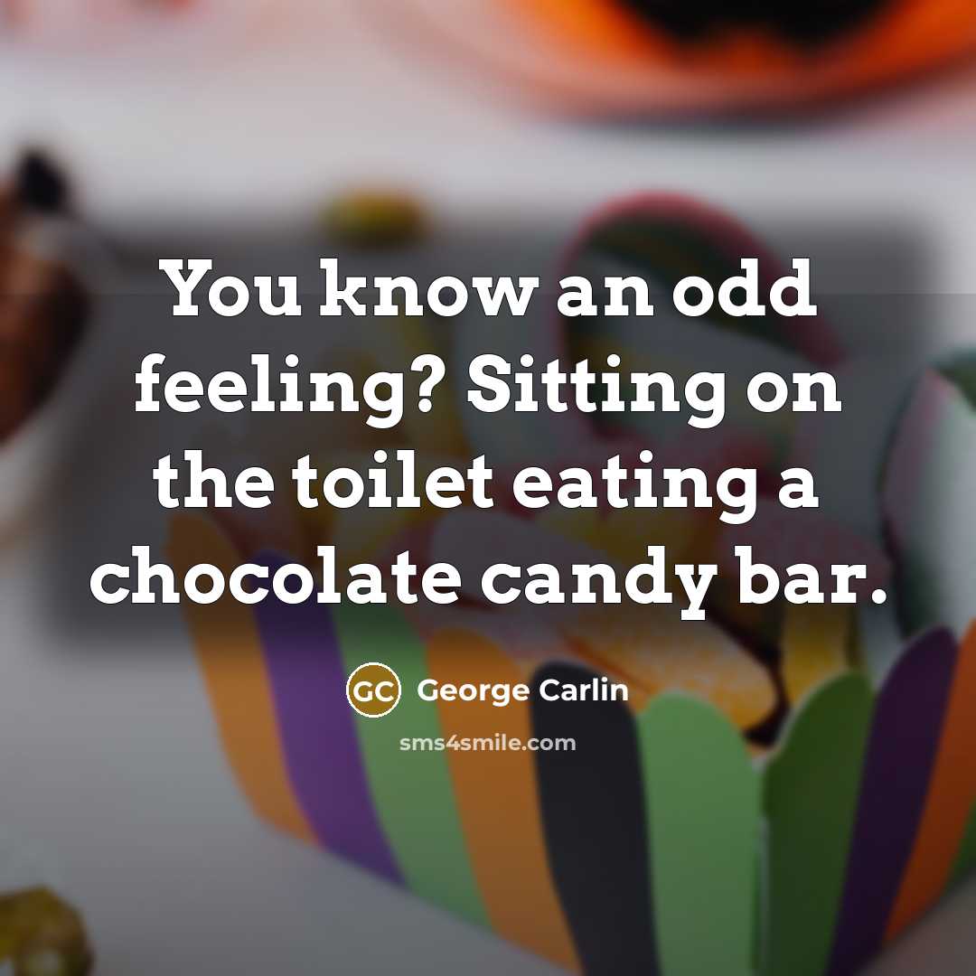 “You know an odd feeling? Sitting on the toilet eating a chocolate candy bar.” quote by George Carlin