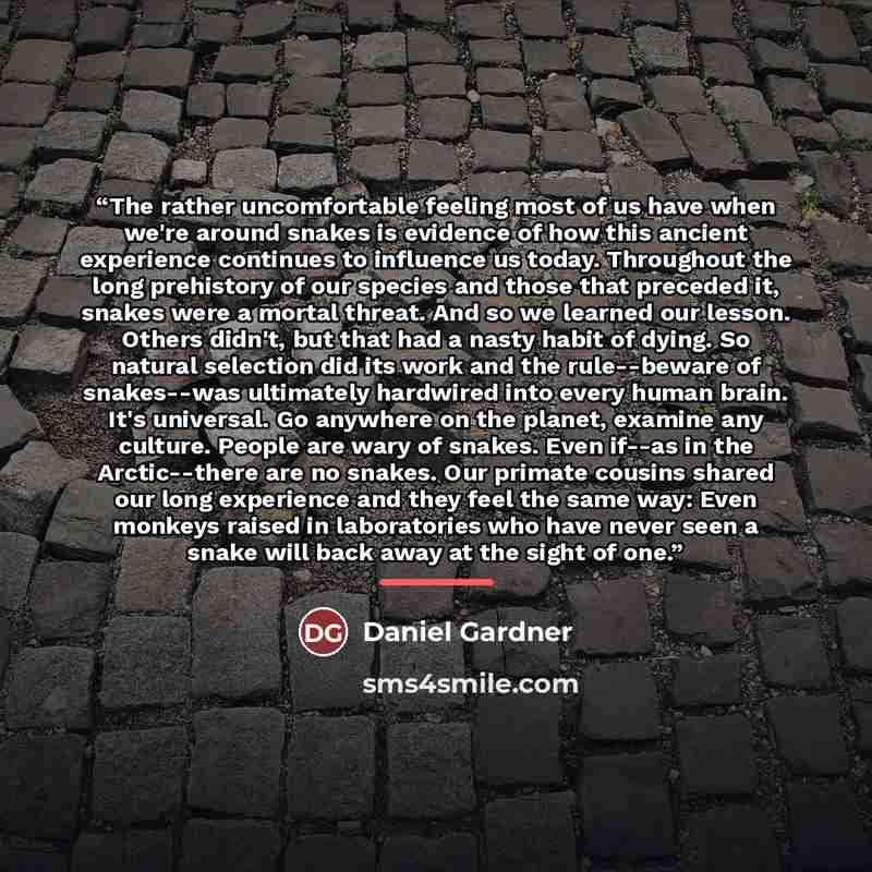 “The rather uncomfortable feeling most of us have when we're around snakes is evidence of how this ancient experience continues to influence us today. Throughout the long prehistory of our species and those that preceded it, snakes were a mortal threat. And so we learned our lesson. Others didn't…” quote by Daniel Gardner