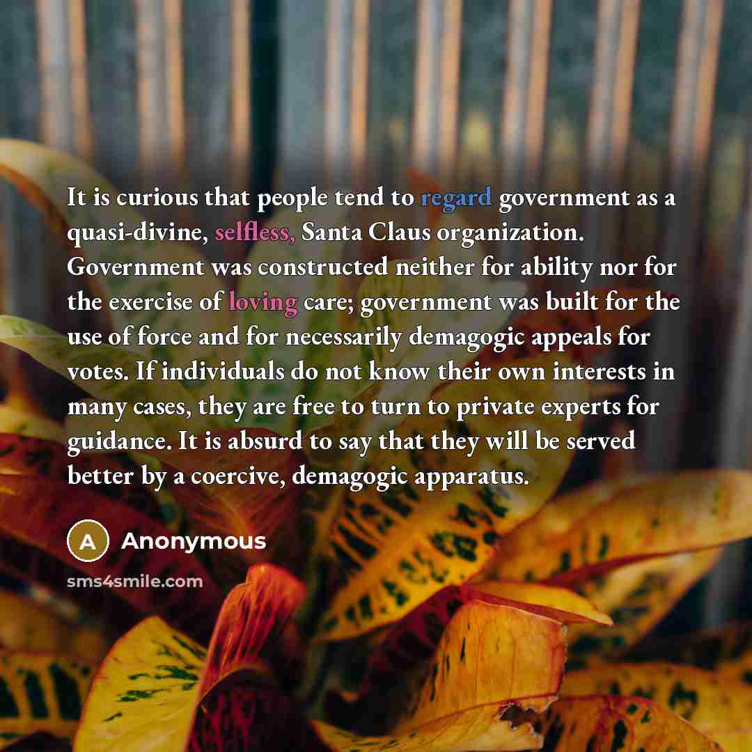 “It is curious that people tend to regard government as a quasi-divine, selfless, Santa Claus organization. Government was constructed neither for ability nor for the exercise of loving care; government was built for the use of force and for necessarily demagogic appeals for votes. If individuals…” quote by Anonymous