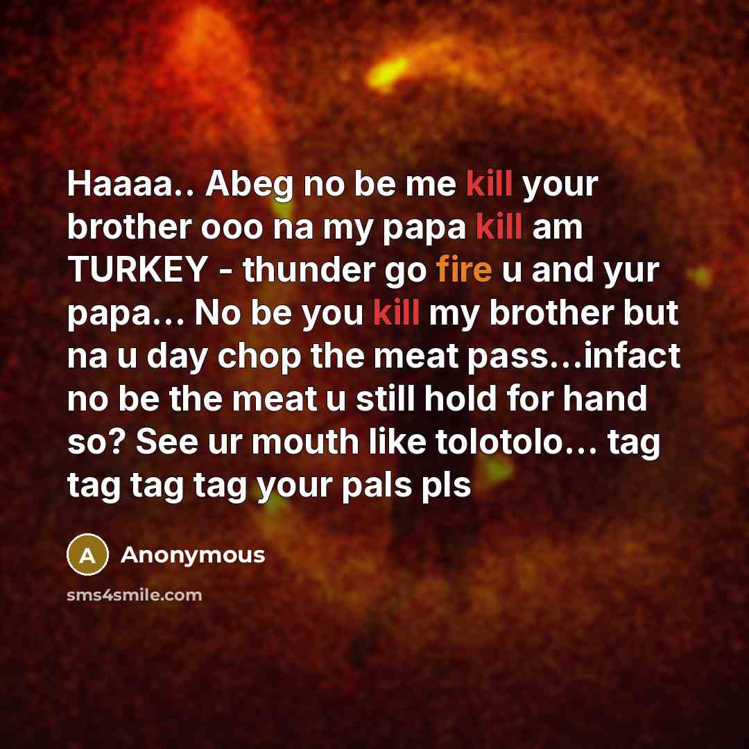 “Haaaa.. Abeg no be me kill your brother ooo na my papa kill am TURKEY - thunder go fire u and yur papa… No be you kill my brother but na u day chop the meat pass…infact no be the meat u still hold for hand so? See ur mouth like tolotolo… tag tag tag tag your pals pls” quote by Anonymous