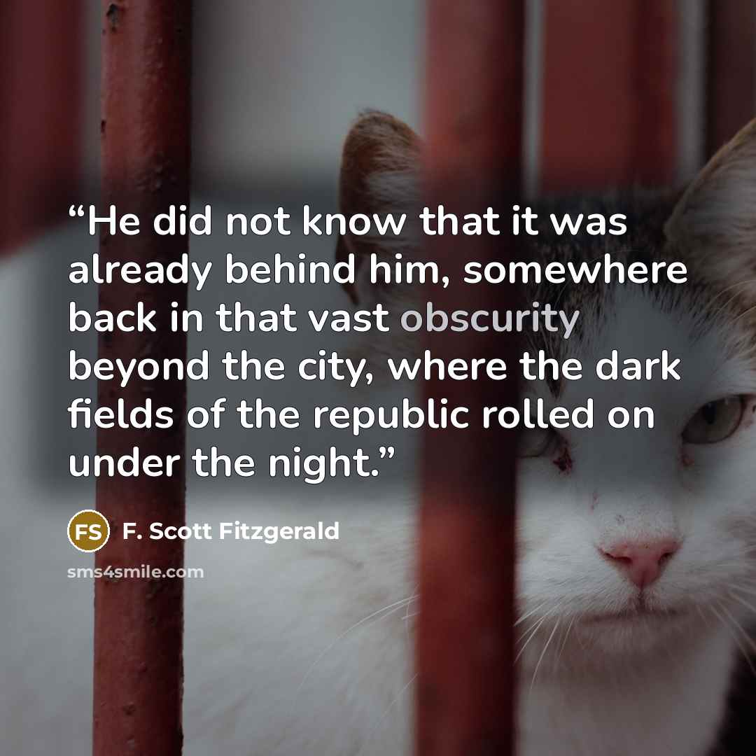 “He did not know that it was already behind him, somewhere back in that vast obscurity beyond the city, where the dark fields of the republic rolled on under the night.” quote by F. Scott Fitzgerald