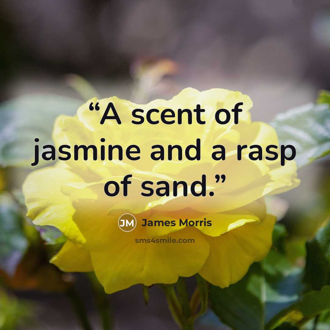 “A scent of jasmine and a rasp of sand.” quote by James Morris