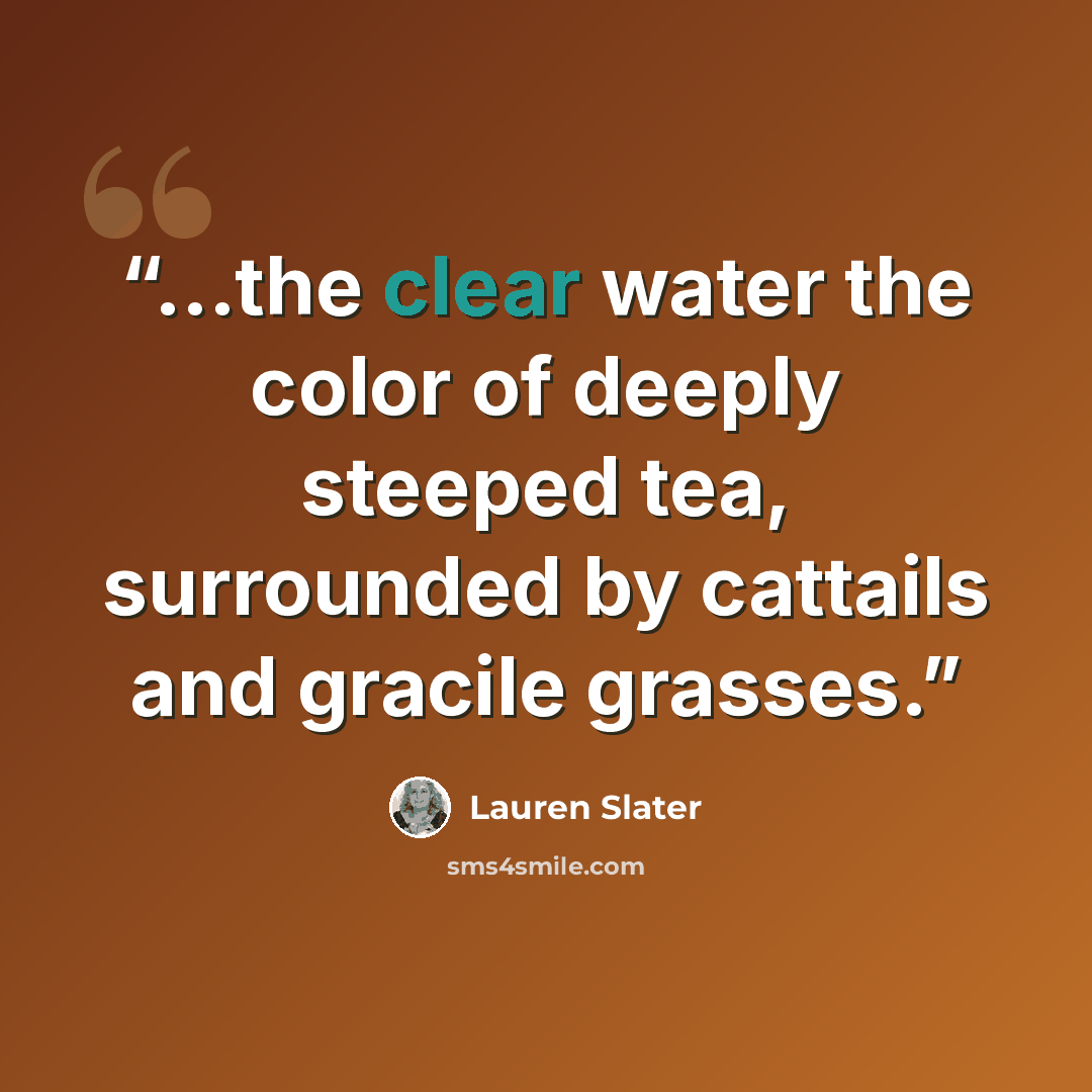 “...the clear water the color of deeply steeped tea, surrounded by cattails and gracile grasses.” quote by Lauren Slater