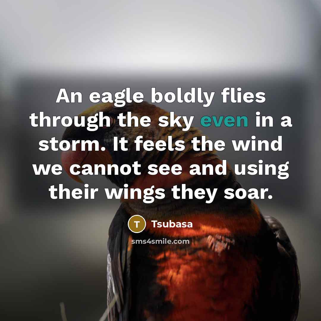 “An eagle boldly flies through the sky even in a storm. It feels the wind we cannot see and using their wings they soar.” quote by Tsubasa