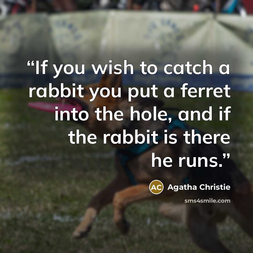 “If you wish to catch a rabbit you put a ferret into the hole, and if the rabbit is there he runs.” quote by Agatha Christie
