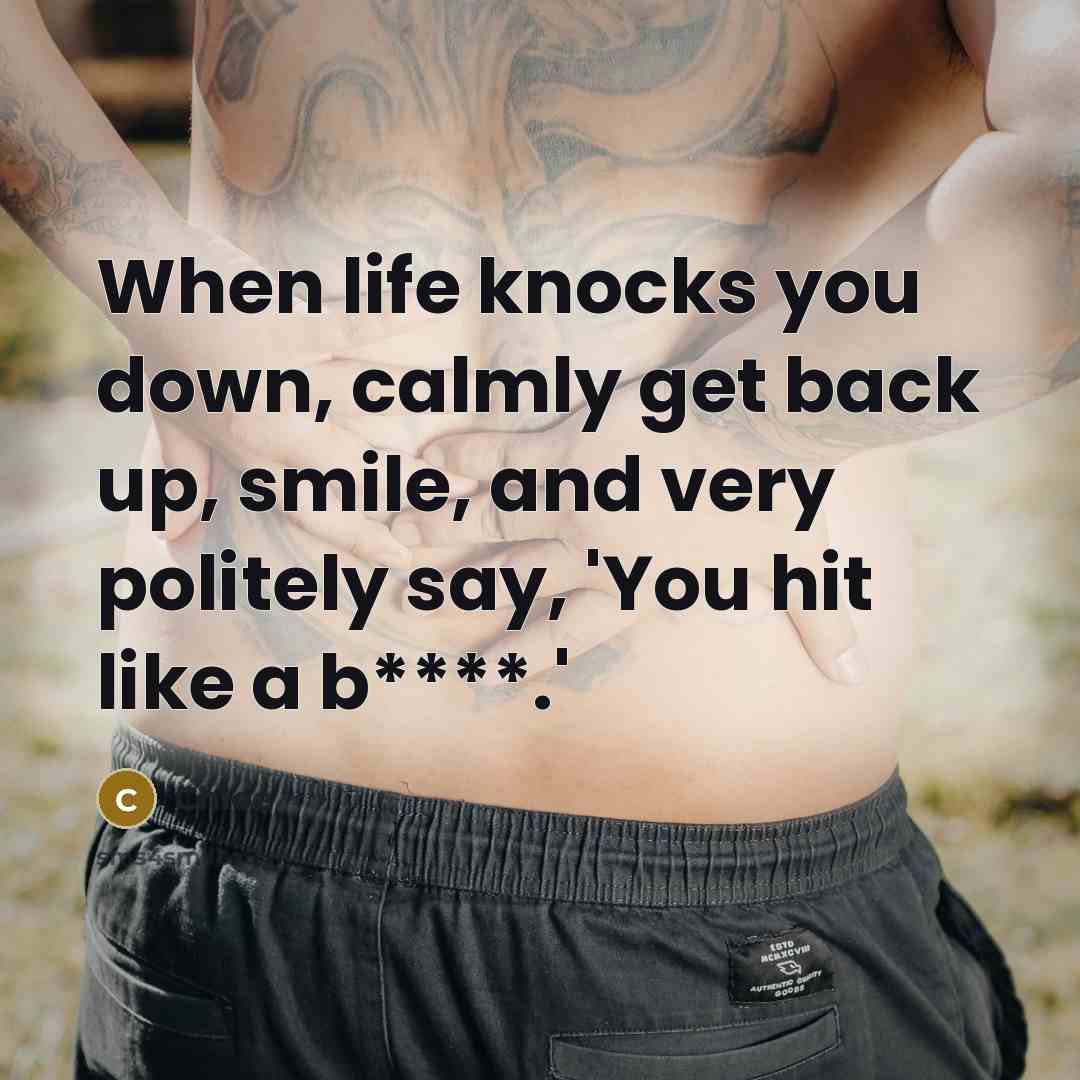 “When life knocks you down, calmly get back up, smile, and very politely say, 'You hit like a b****.'” quote by Chloe