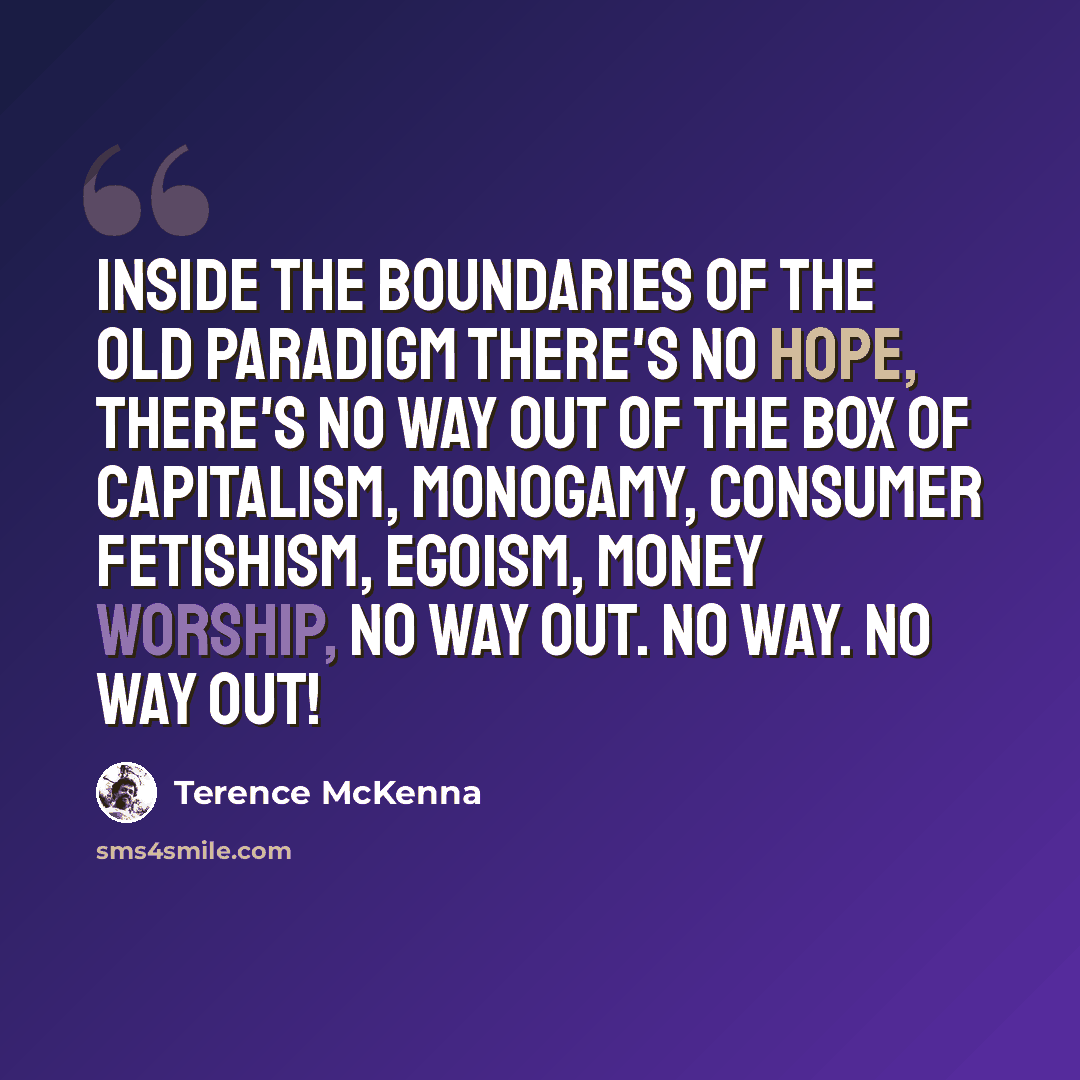 “Inside the boundaries of the old paradigm there's no hope, there's no way out of the box of capitalism, monogamy, consumer fetishism, egoism, money worship, no way out. No way. No way out!” quote by Terence McKenna