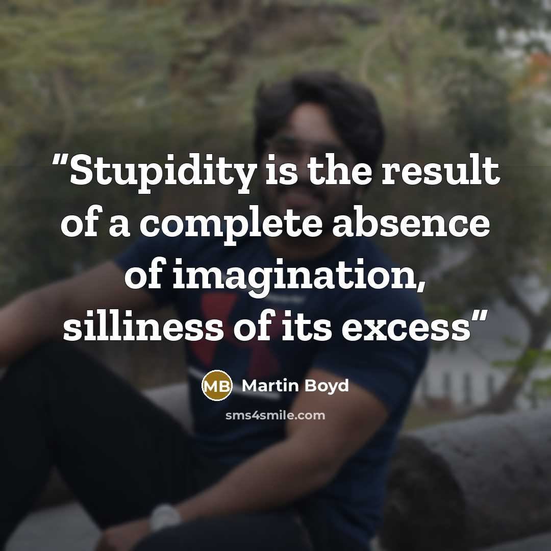 “Stupidity is the result of a complete absence of imagination, silliness of its excess” quote by Martin Boyd