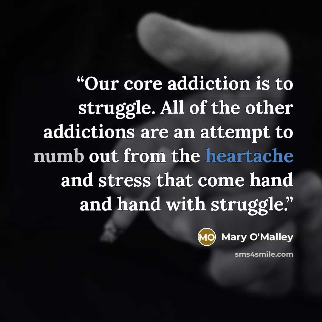 “Our core addiction is to struggle. All of the other addictions are an attempt to numb out from the heartache and stress that come hand and hand with struggle.” quote by Mary O'Malley