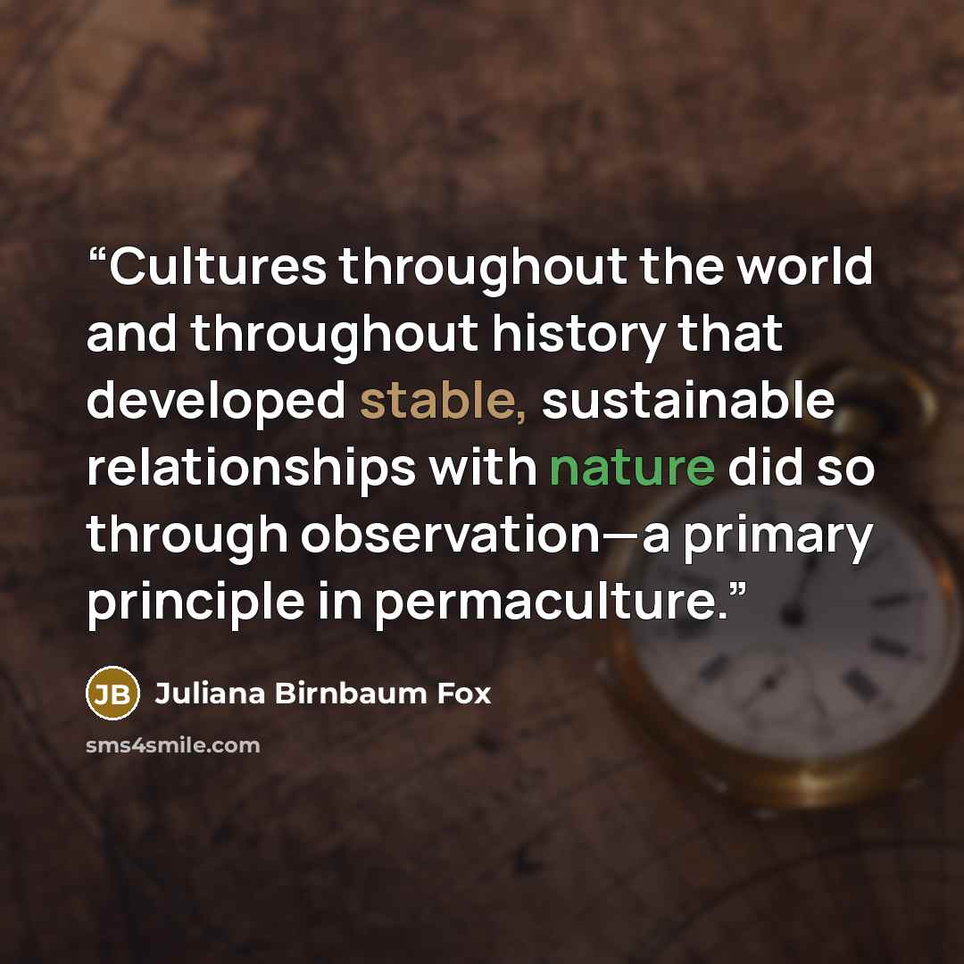 “Cultures throughout the world and throughout history that developed stable, sustainable relationships with nature did so through observation—a primary principle in permaculture.” quote by Juliana Birnbaum Fox