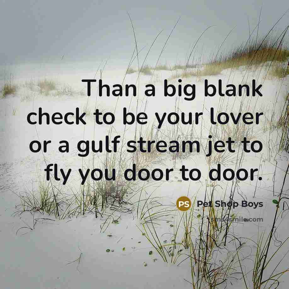 “Than a big blank check to be your lover or a gulf stream jet to fly you door to door.” quote by Pet Shop Boys
