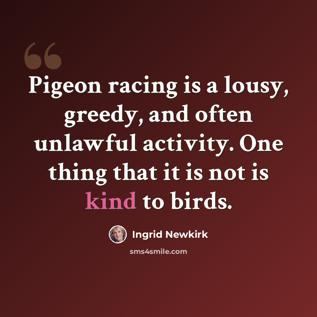 “Pigeon racing is a lousy, greedy, and often unlawful activity. One thing that it is not is kind to birds.” quote by Ingrid Newkirk