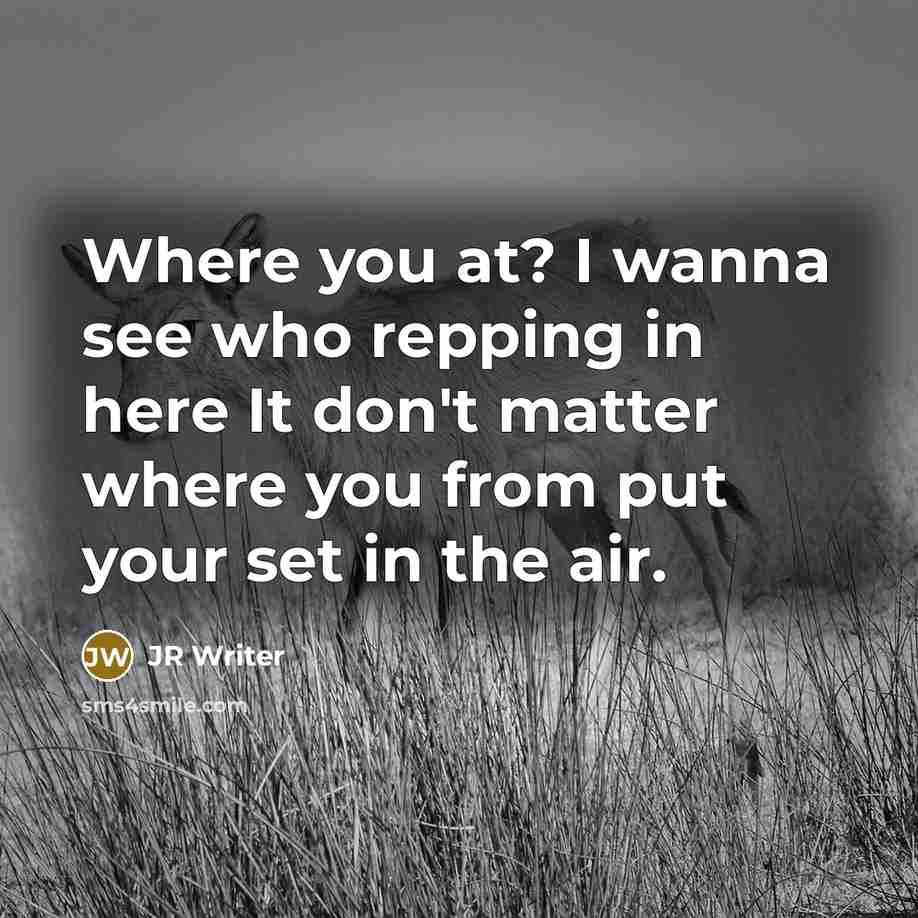 “Where you at? I wanna see who repping in here It don't matter where you from put your set in the air.” quote by JR Writer