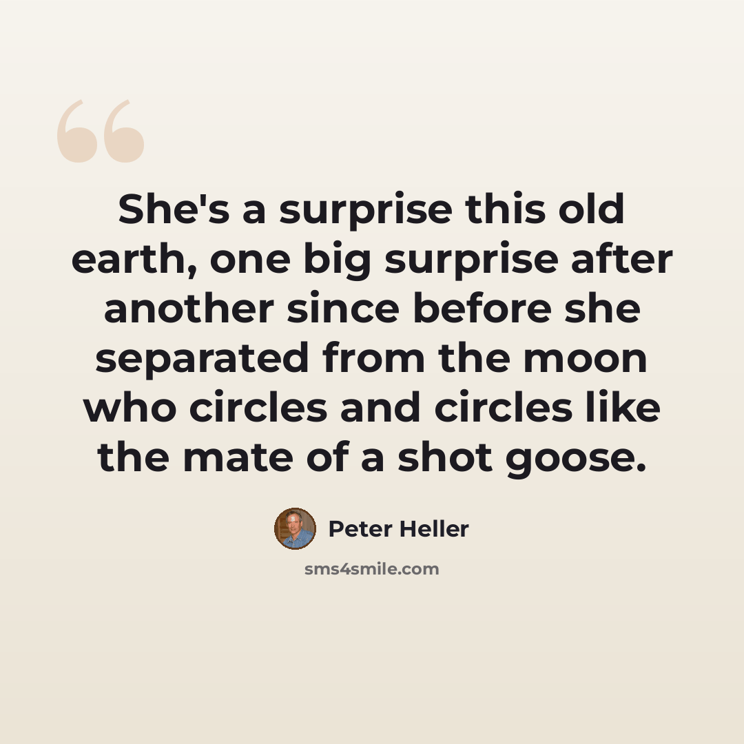 “She's a surprise this old earth, one big surprise after another since before she separated from the moon who circles and circles like the mate of a shot goose.” quote by Peter Heller