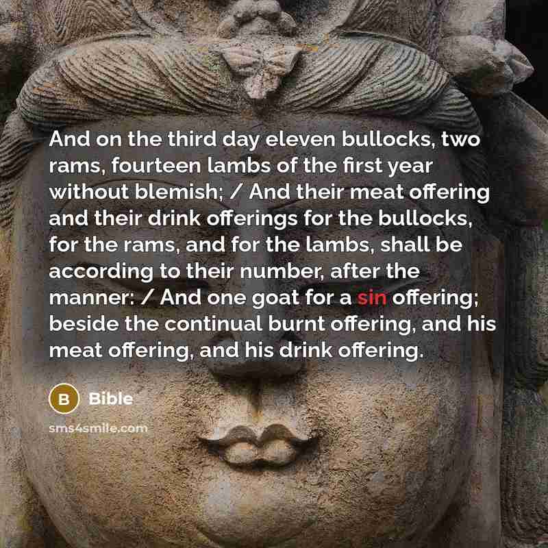 “And on the third day eleven bullocks, two rams, fourteen lambs of the first year without blemish; / And their meat offering and their drink offerings for the bullocks, for the rams, and for the lambs, shall be according to their number, after the manner: / And one goat for a sin offering; beside…” quote by Bible