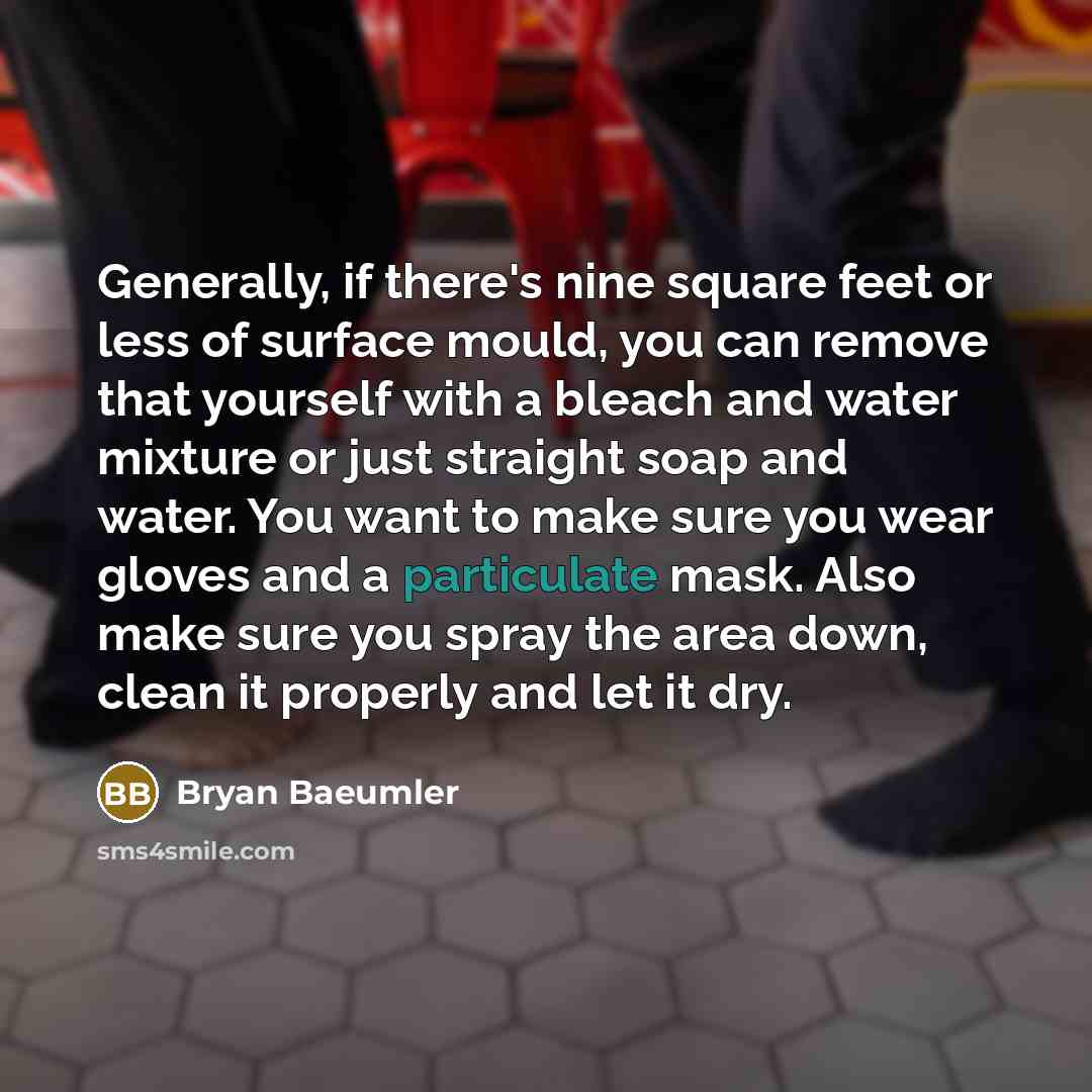 “Generally, if there's nine square feet or less of surface mould, you can remove that yourself with a bleach and water mixture or just straight soap and water. You want to make sure you wear gloves and a particulate mask. Also make sure you spray the area down, clean it properly and let it dry.” quote by Bryan Baeumler