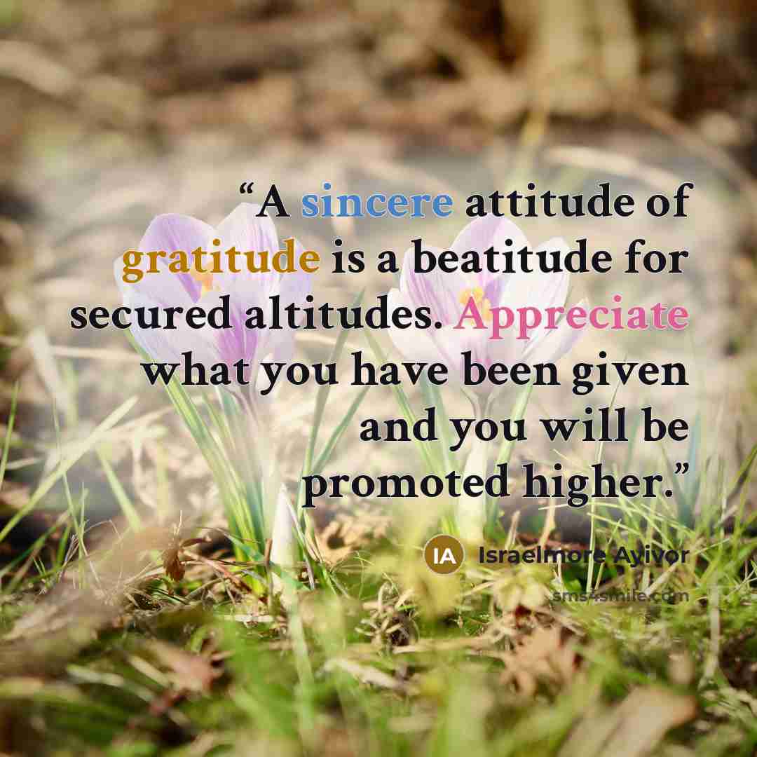 “A sincere attitude of gratitude is a beatitude for secured altitudes. Appreciate what you have been given and you will be promoted higher.” quote by Israelmore Ayivor