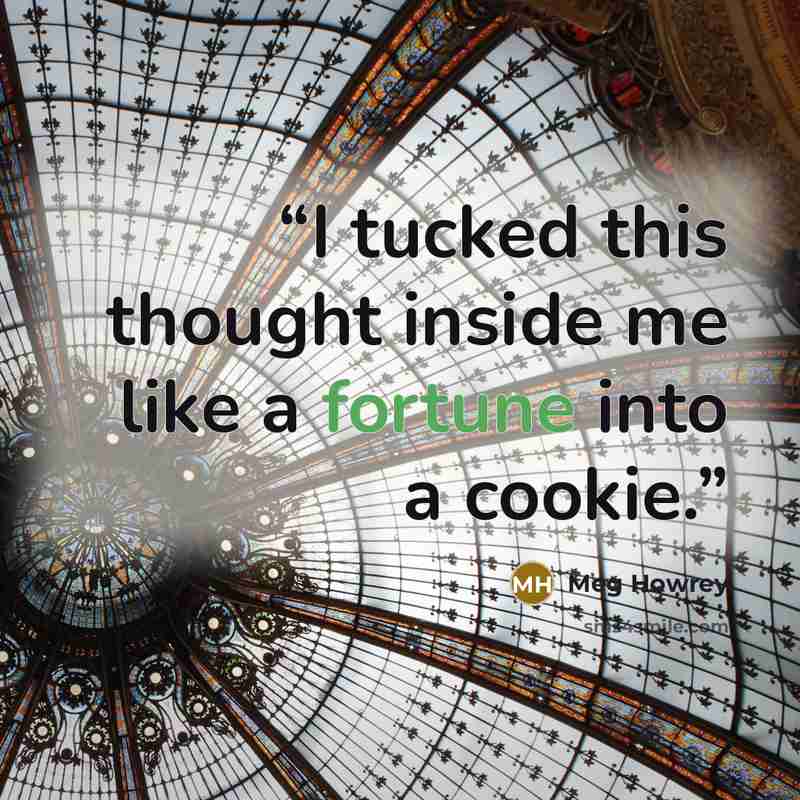 “I tucked this thought inside me like a fortune into a cookie.” quote by Meg Howrey
