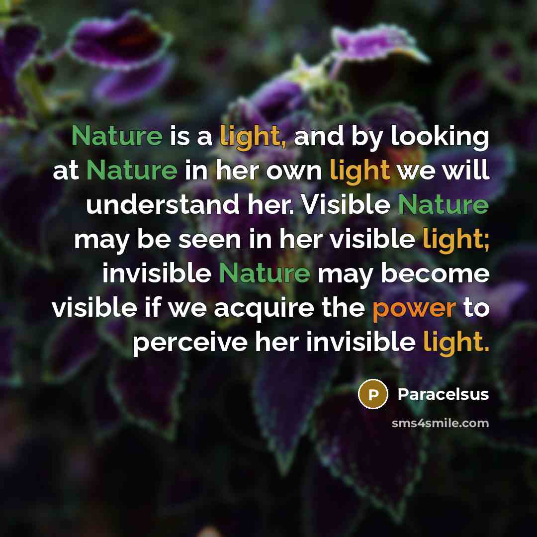 “Nature is a light, and by looking at Nature in her own light we will understand her. Visible Nature may be seen in her visible light; invisible Nature may become visible if we acquire the power to perceive her invisible light.” quote by Paracelsus