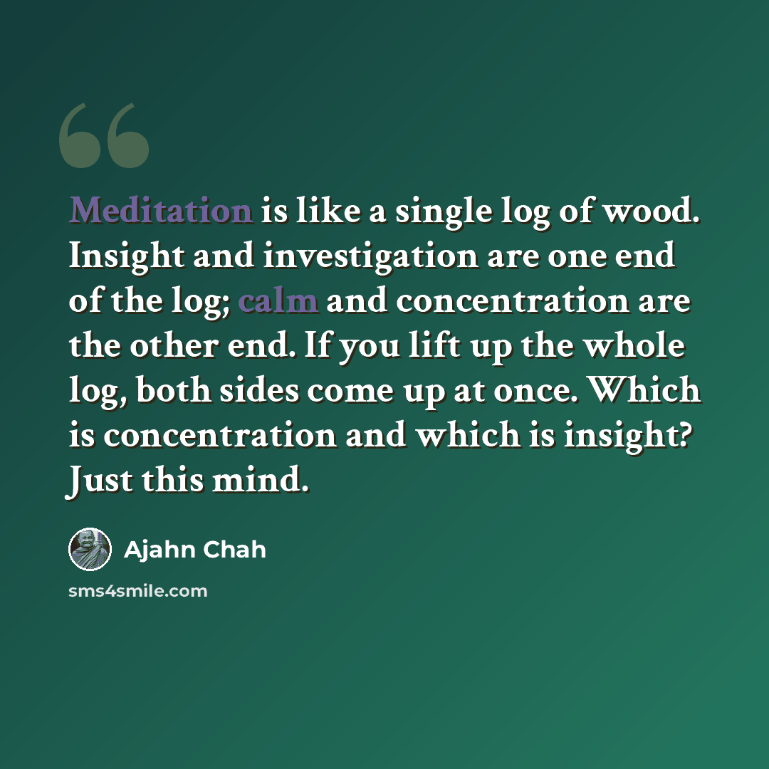 “Meditation is like a single log of wood. Insight and investigation are one end of the log; calm and concentration are the other end. If you lift up the whole log, both sides come up at once. Which is concentration and which is insight? Just this mind.” quote by Ajahn Chah