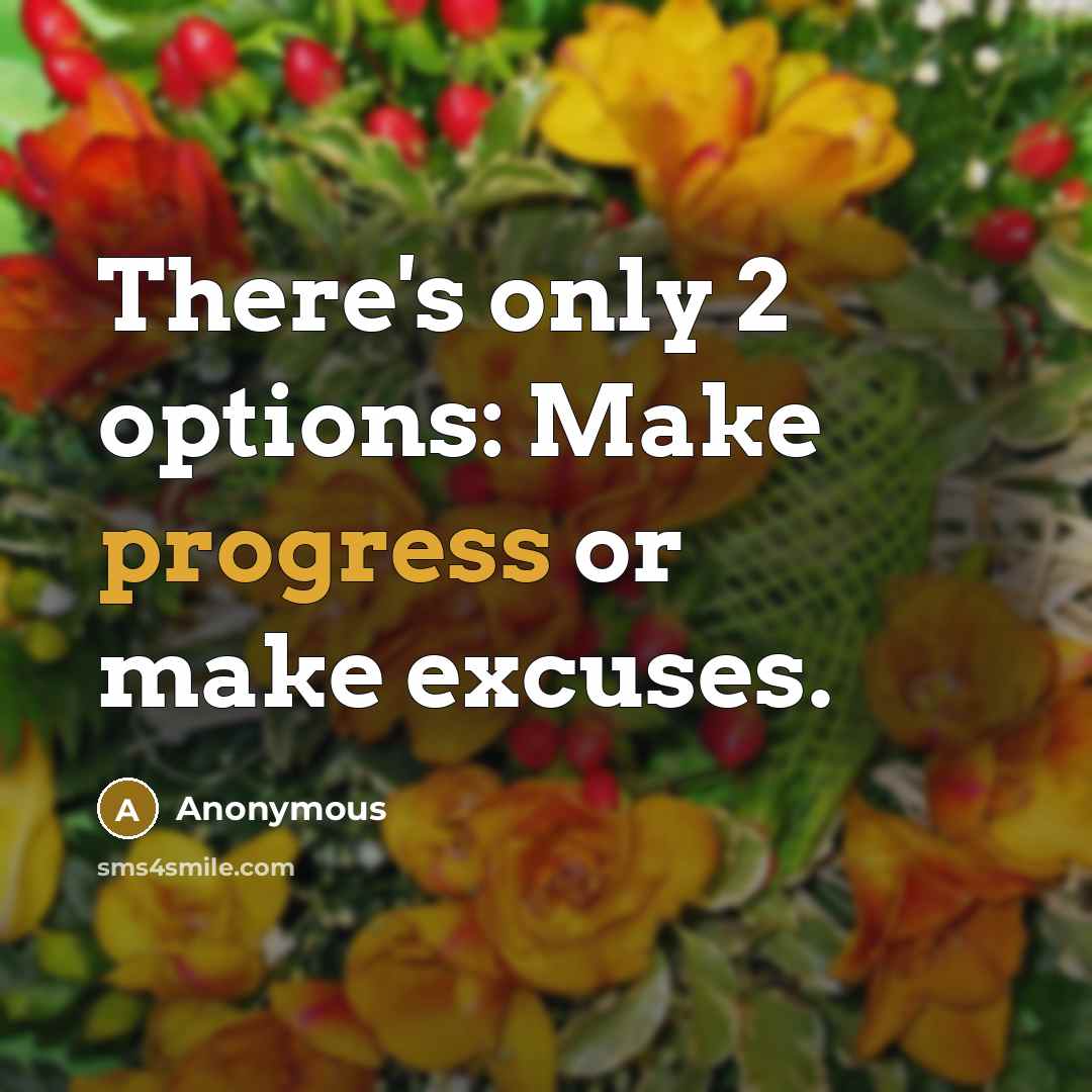 “There's only 2 options: Make progress or make excuses.” quote by Anonymous