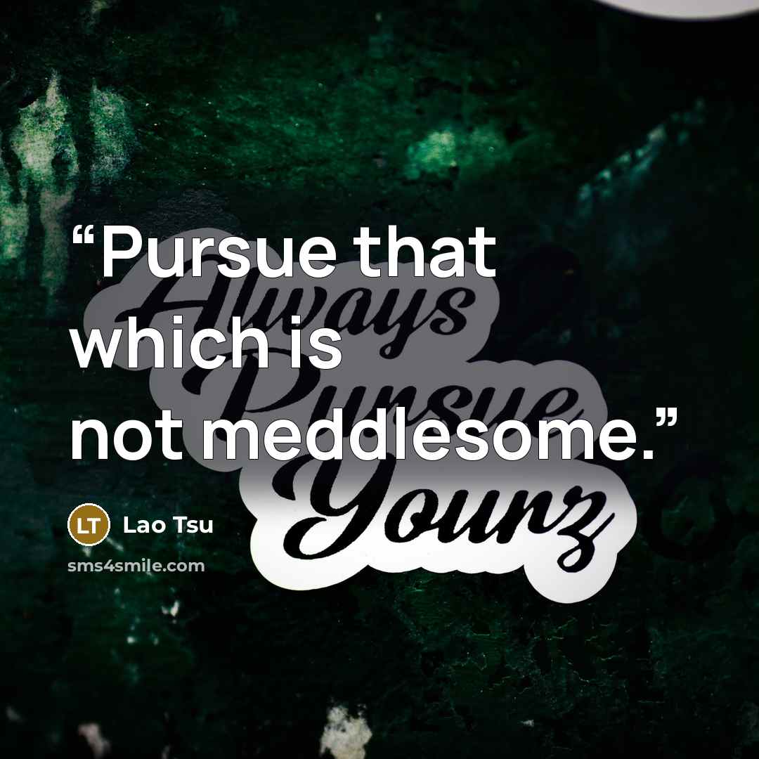 “Pursue that which is not meddlesome.” quote by Lao Tsu