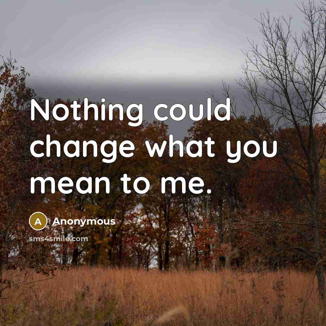 “Nothing could change what you mean to me.” quote by Anonymous