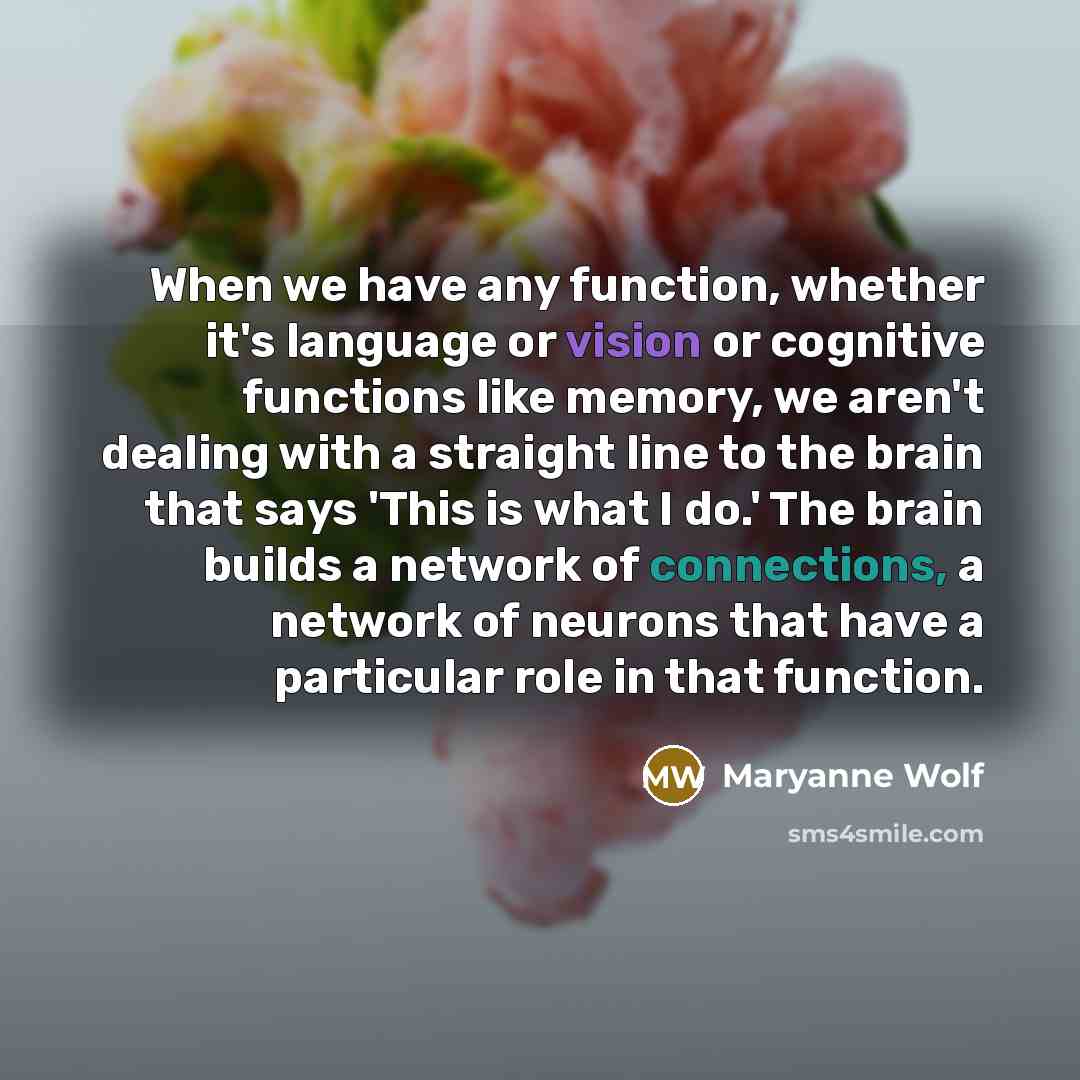 “When we have any function, whether it's language or vision or cognitive functions like memory, we aren't dealing with a straight line to the brain that says 'This is what I do.' The brain builds a network of connections, a network of neurons that have a particular role in that function.” quote by Maryanne Wolf