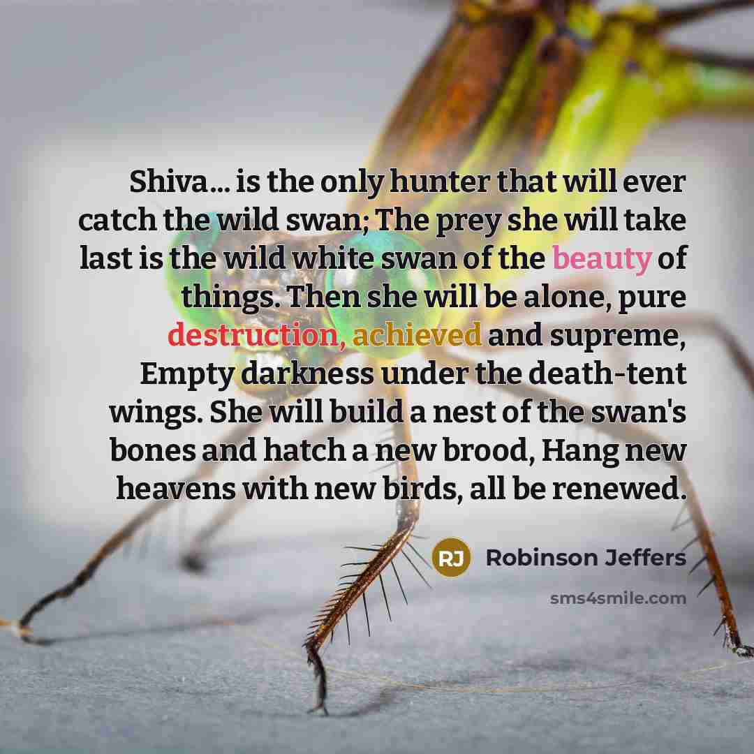 “Shiva... is the only hunter that will ever catch the wild swan; The prey she will take last is the wild white swan of the beauty of things. Then she will be alone, pure destruction, achieved and supreme, Empty darkness under the death-tent wings. She will build a nest of the swan's bones and hatch…” quote by Robinson Jeffers