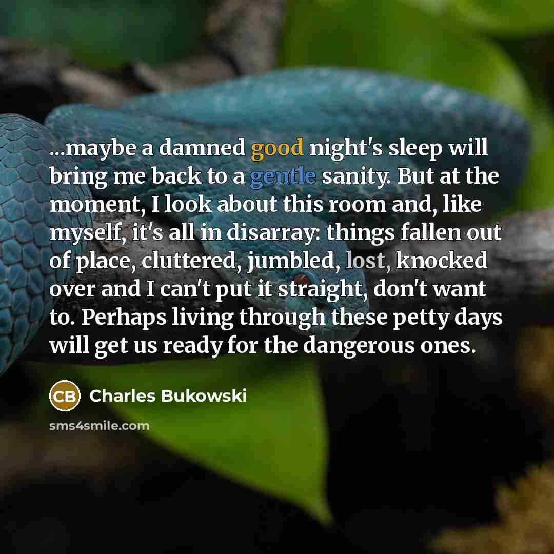 “...maybe a damned good night's sleep will bring me back to a gentle sanity. But at the moment, I look about this room and, like myself, it's all in disarray: things fallen out of place, cluttered, jumbled, lost, knocked over and I can't put it straight, don't want to. Perhaps living through these…” quote by Charles Bukowski
