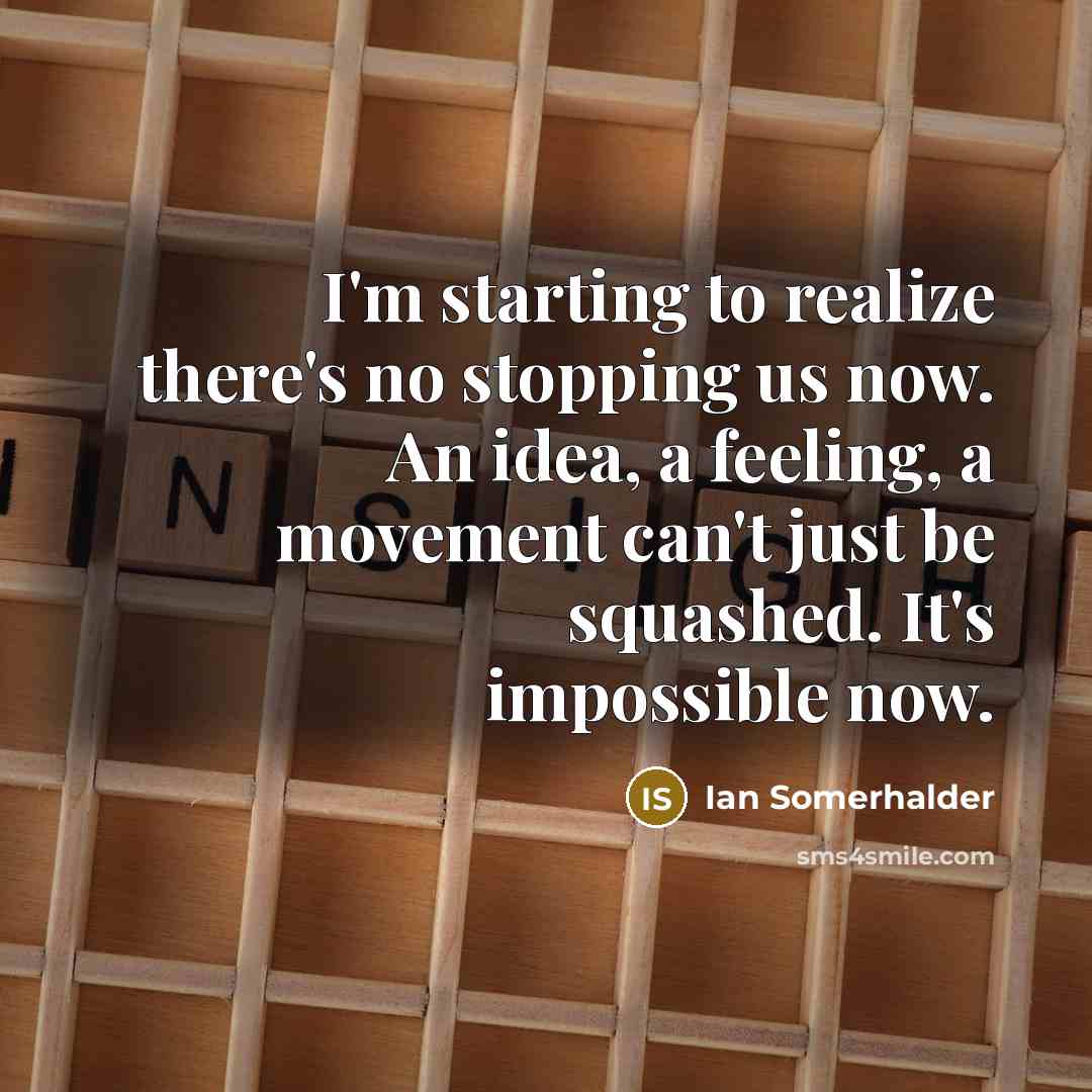 “I'm starting to realize there's no stopping us now. An idea, a feeling, a movement can't just be squashed. It's impossible now.” quote by Ian Somerhalder