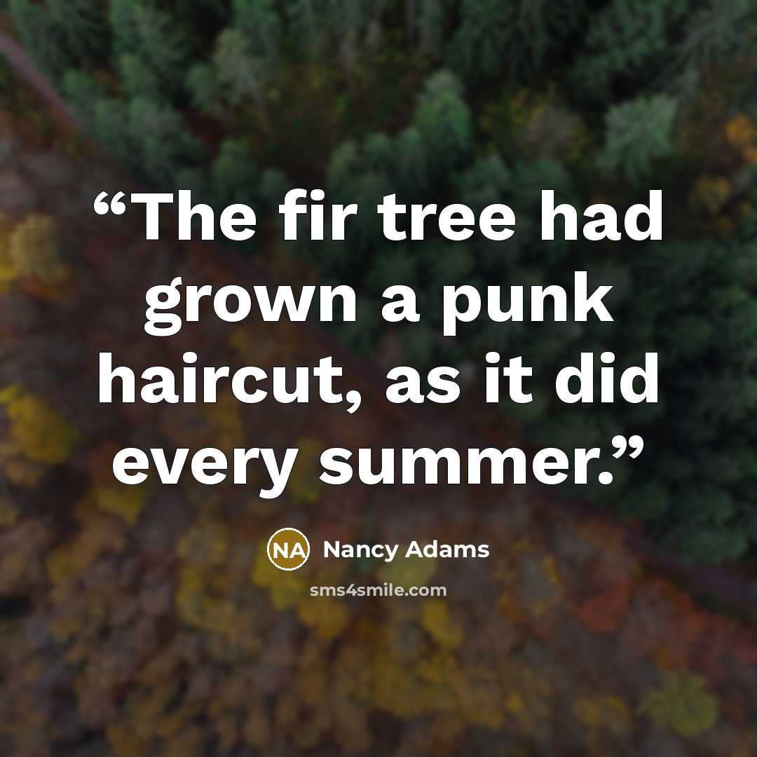 “The fir tree had grown a punk haircut, as it did every summer.” quote by Nancy Adams