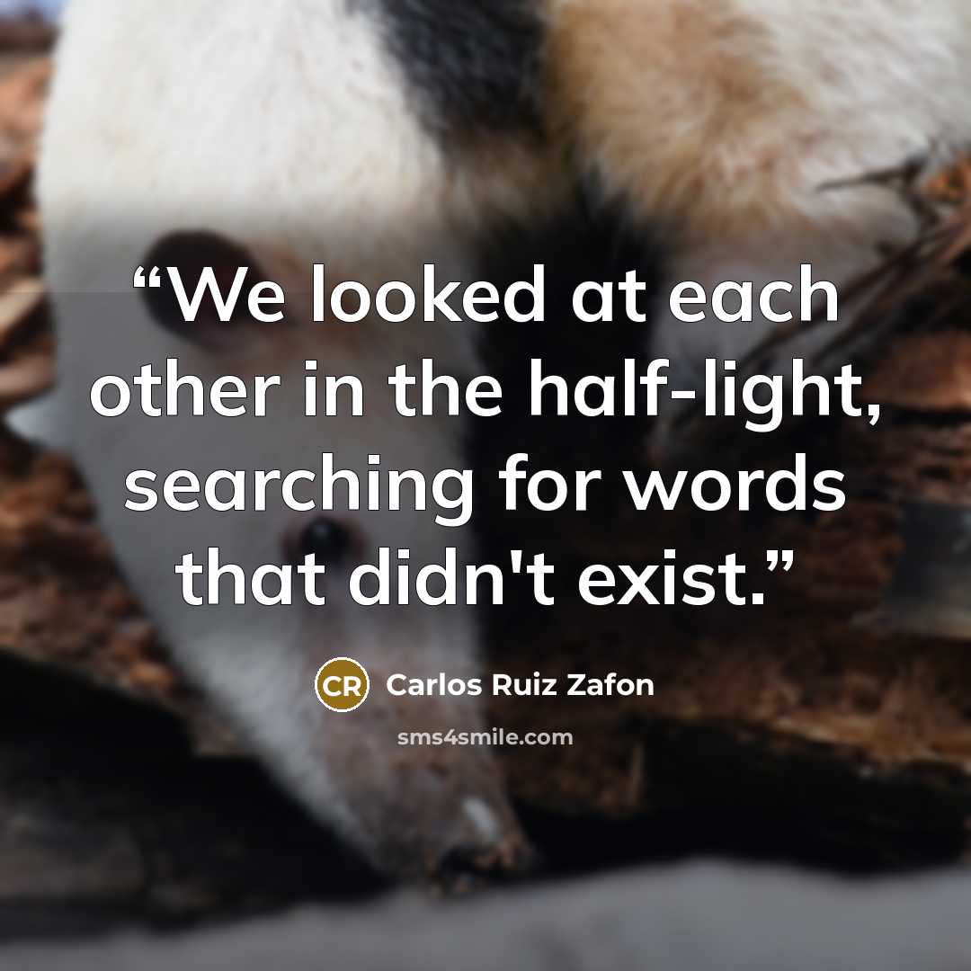 “We looked at each other in the half-light, searching for words that didn't exist.” quote by Carlos Ruiz Zafón
