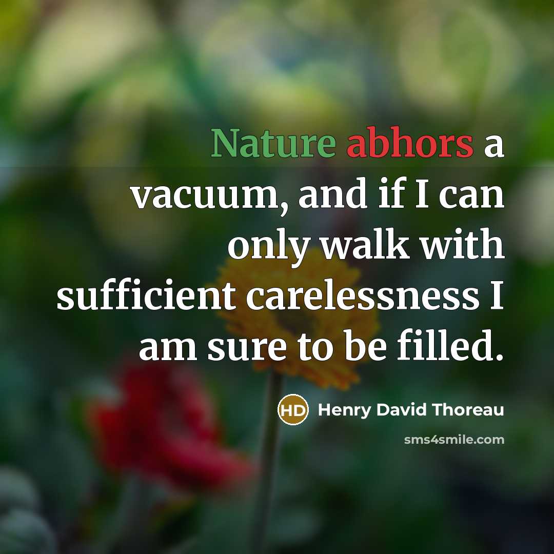 “Nature abhors a vacuum, and if I can only walk with sufficient carelessness I am sure to be filled.” quote by Henry David Thoreau